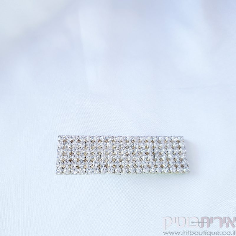 סיכה לשיער מנצנצת