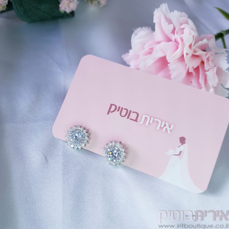 עגילי זרקון משובץ ונוצץ