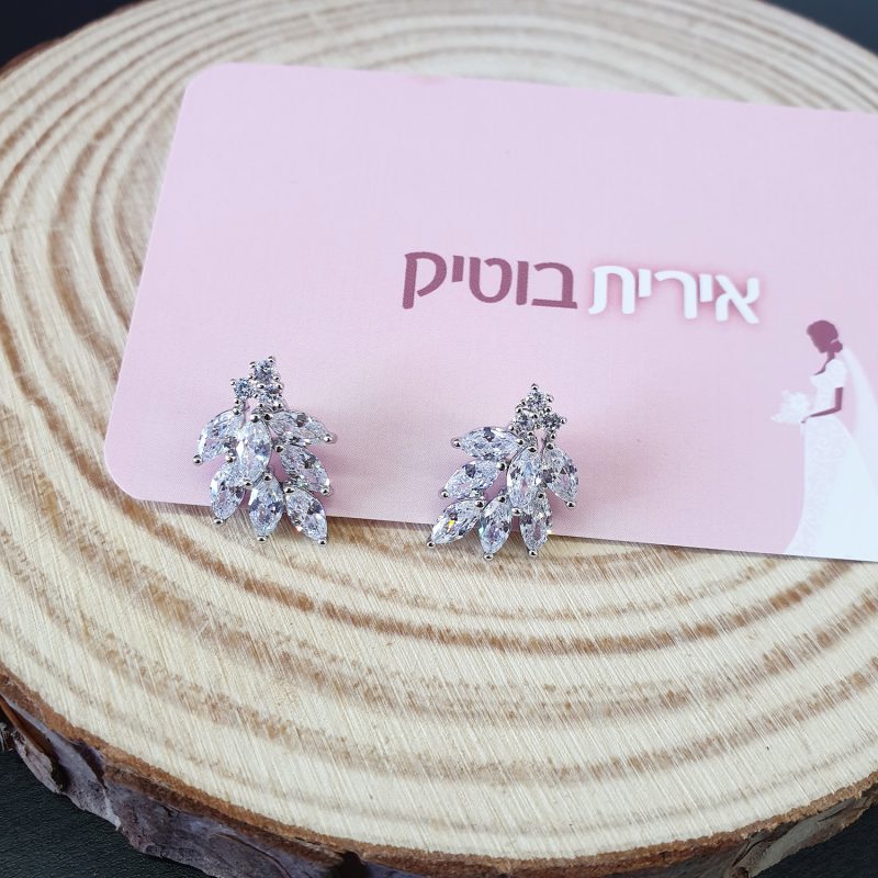 עגילים צמודים סברובסקי